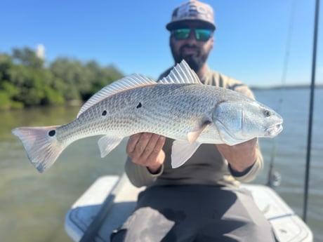 Fishing in St. Petersburg, Florida