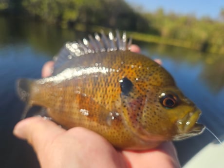 Fishing in Fort Lauderdale, Florida
