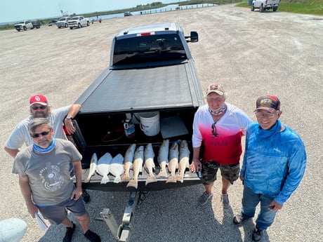 Flounder, Redfish, Speckled Trout / Spotted Seatrout fishing in Port Arthur, Texas