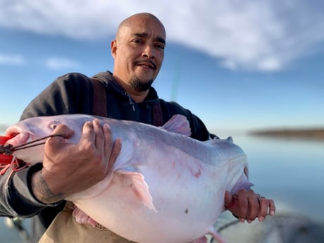 Blue Catfish Fishing in Dallas, Texas