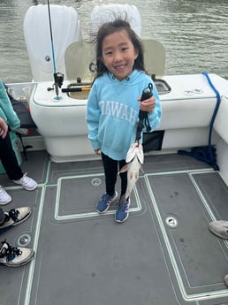 Fishing in Mount Pleasant, South Carolina