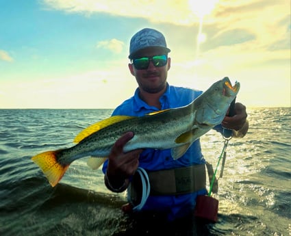 Fishing in Aransas Pass, Texas