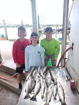 Speckled Trout / Spotted Seatrout fishing in Dickinson, Texas