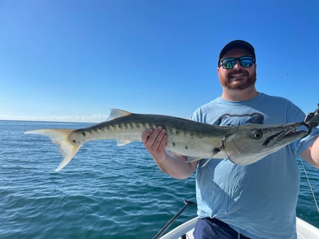 Barracuda fishing in Tavernier, Florida