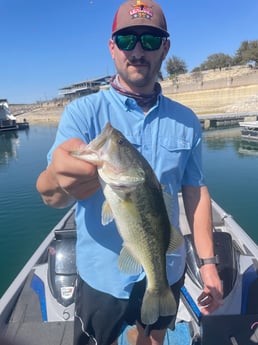 Largemouth Bass fishing in Jonestown, Texas