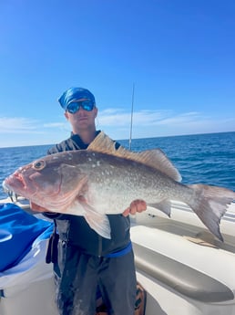 Fishing in Naples, Florida