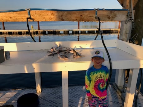 Blue Catfish Fishing in Orange Beach, Alabama