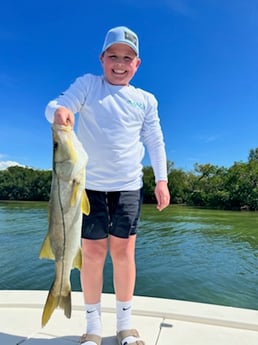 Snook fishing in Fort Myers, Florida
