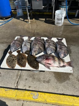 Fishing in Destin, Florida