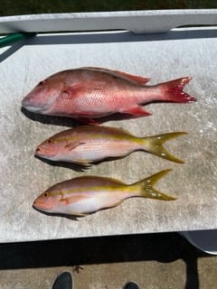 Fishing in Riviera Beach, Florida