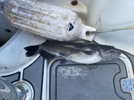 Fishing in Pembroke Pines, Florida