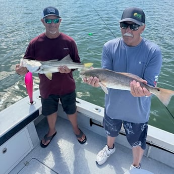 Fishing in Clearwater, Florida