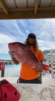 Red Snapper fishing in Orange Beach, Alabama