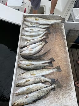 Fishing in Bradenton, Florida