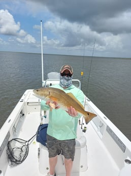 Redfish fishing in Saint Bernard, Louisiana