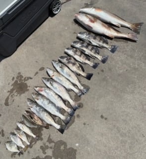 Fishing in Galveston, Texas