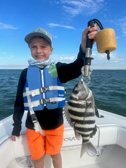 Sheepshead Fishing in Bokeelia, Florida