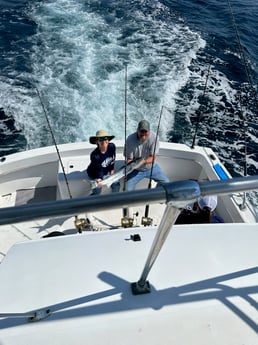 Barracuda Fishing in Miami, Florida