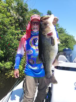 Largemouth Bass Fishing in Wellington, Florida