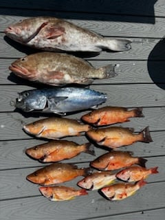 Fishing in Sarasota, Florida