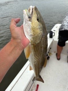 Fishing in Lake Charles, Louisiana