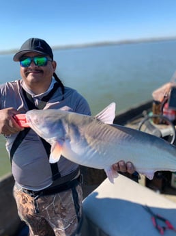 Blue Catfish Fishing in Dallas, Texas