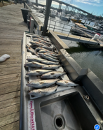 Fishing in Savannah, Georgia