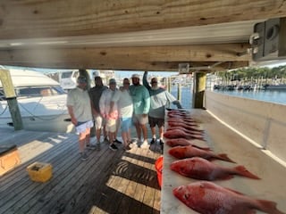 Fishing in Orange Beach, Alabama