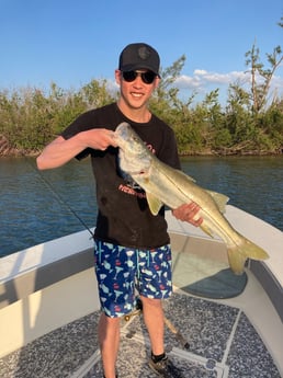 Fishing in Boca Grande, Florida