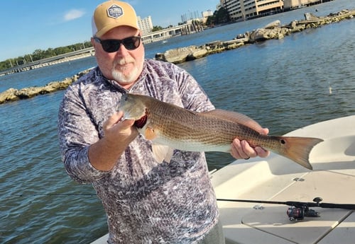 Redfish Fishing in Biloxi, Mississippi