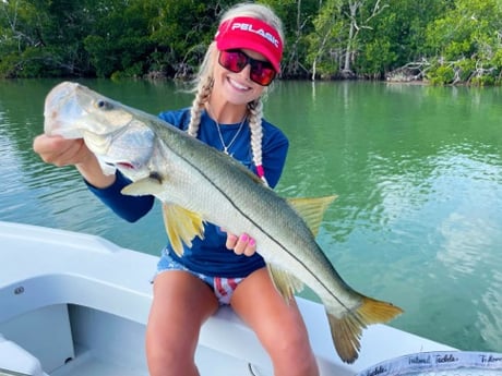 Snook Fishing in Tavernier, Florida