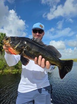 Fishing in Davie, Florida