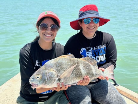 Black Drum Fishing in Port Isabel, Texas