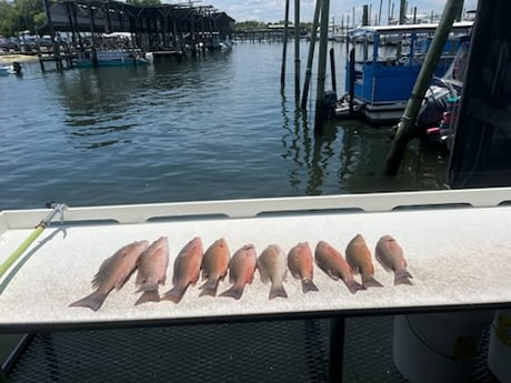 Fishing in Crystal River, Florida