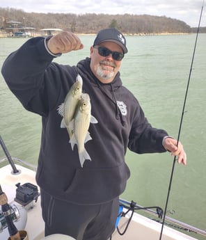 Striped Bass fishing in Runaway Bay, Texas