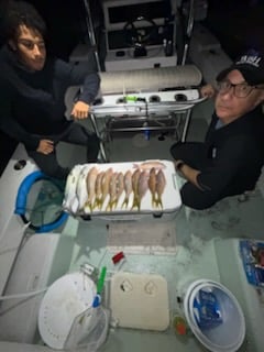 Fishing in Miami, Florida