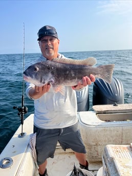 Fishing in Westport, Massachusetts