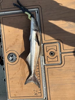 Fishing in St. Augustine, Florida