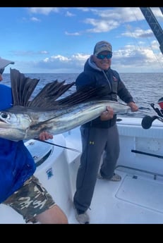 Sailfish Fishing in