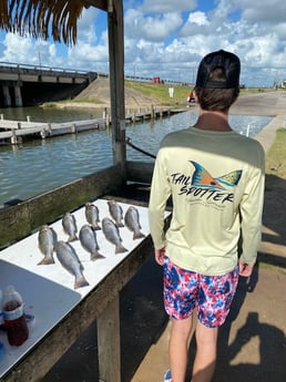Speckled Trout / Spotted Seatrout Fishing in Texas City, Texas