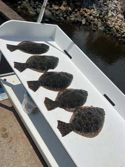 Flounder fishing in Little River, South Carolina