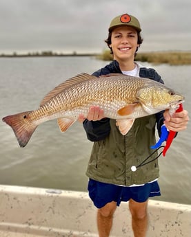 Black Drum fishing in Saint Bernard, Louisiana