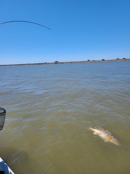 Redfish fishing in Port O'Connor, Texas