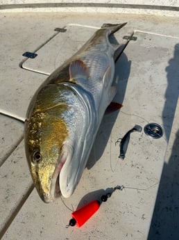 Fishing in Newport, North Carolina