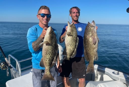 Gag Grouper Fishing in Mount Pleasant, South Carolina