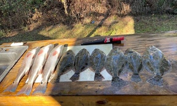 Flounder, Redfish Fishing in St. Augustine, Florida