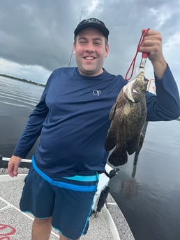 Tripletail Fishing in Holmes Beach, Florida