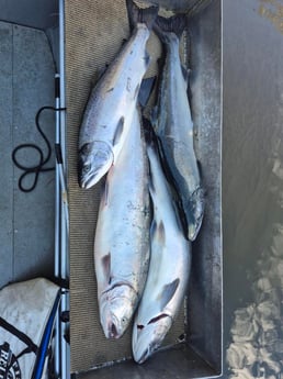 Fishing in Seattle, Washington