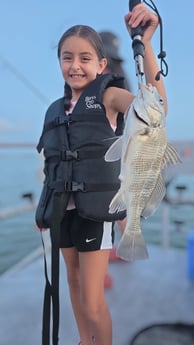 Fishing in Galveston, Texas