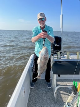 Black Drum Fishing in Buras, Louisiana